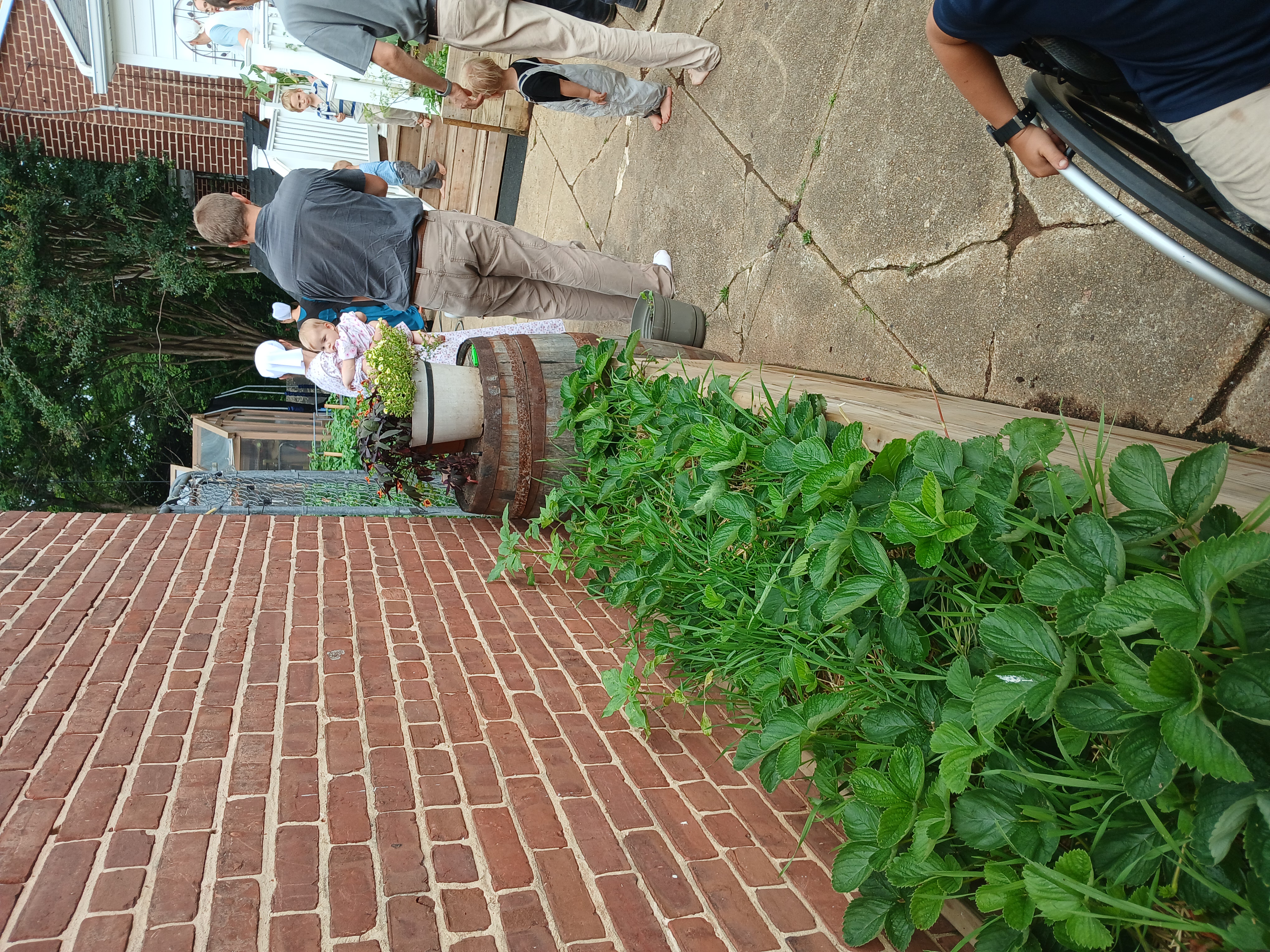 Community garden beds along a sidewalk